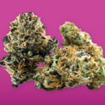 Store – gallery image 5