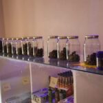 Store – gallery image 2