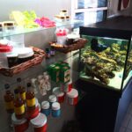 Store – gallery image 1