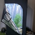 Store – gallery image 3