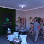 Store – gallery image 5