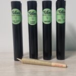 Store – gallery image 3