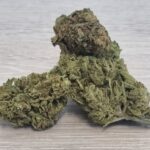 Store – gallery image 5