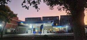 The Green Monk Linden