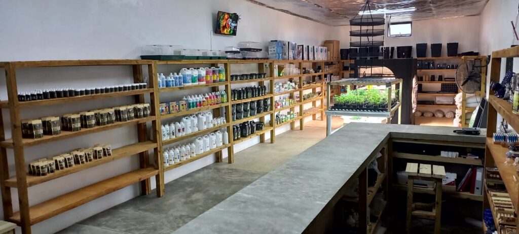 Store – main photo