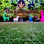 Store – gallery image 2