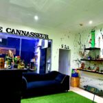 Store – gallery image 5