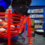 Store – gallery image 3