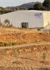 coopérative cannabis bio