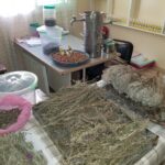 Store – gallery image 4