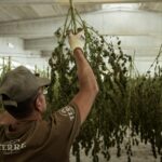 Best Practices During the Drying and Curing Process