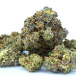 What Makes Chronic a Top Strain Choice?