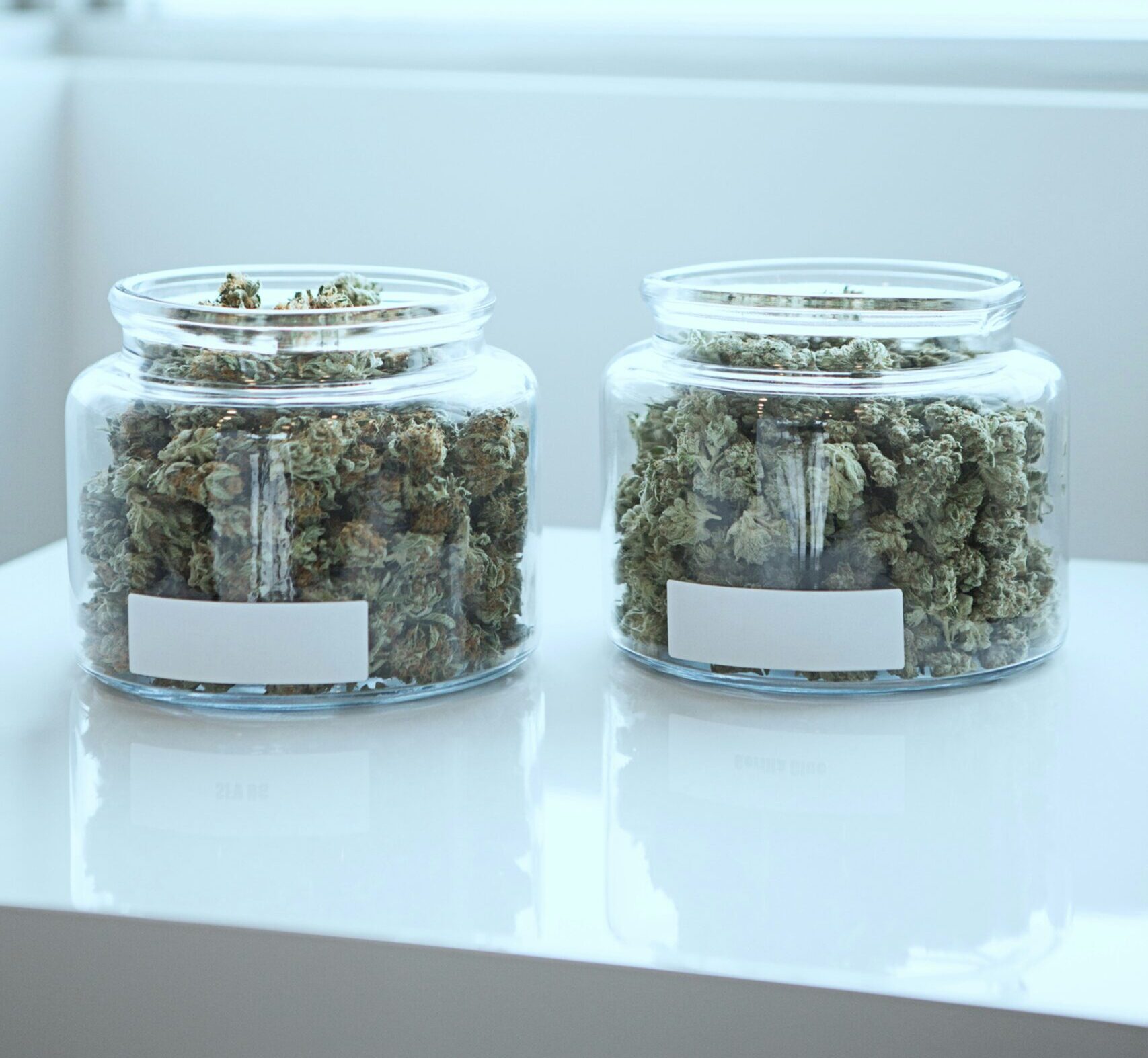 Mastering Burping Curing Jars Cannabis for Optimal Flavor and Potency