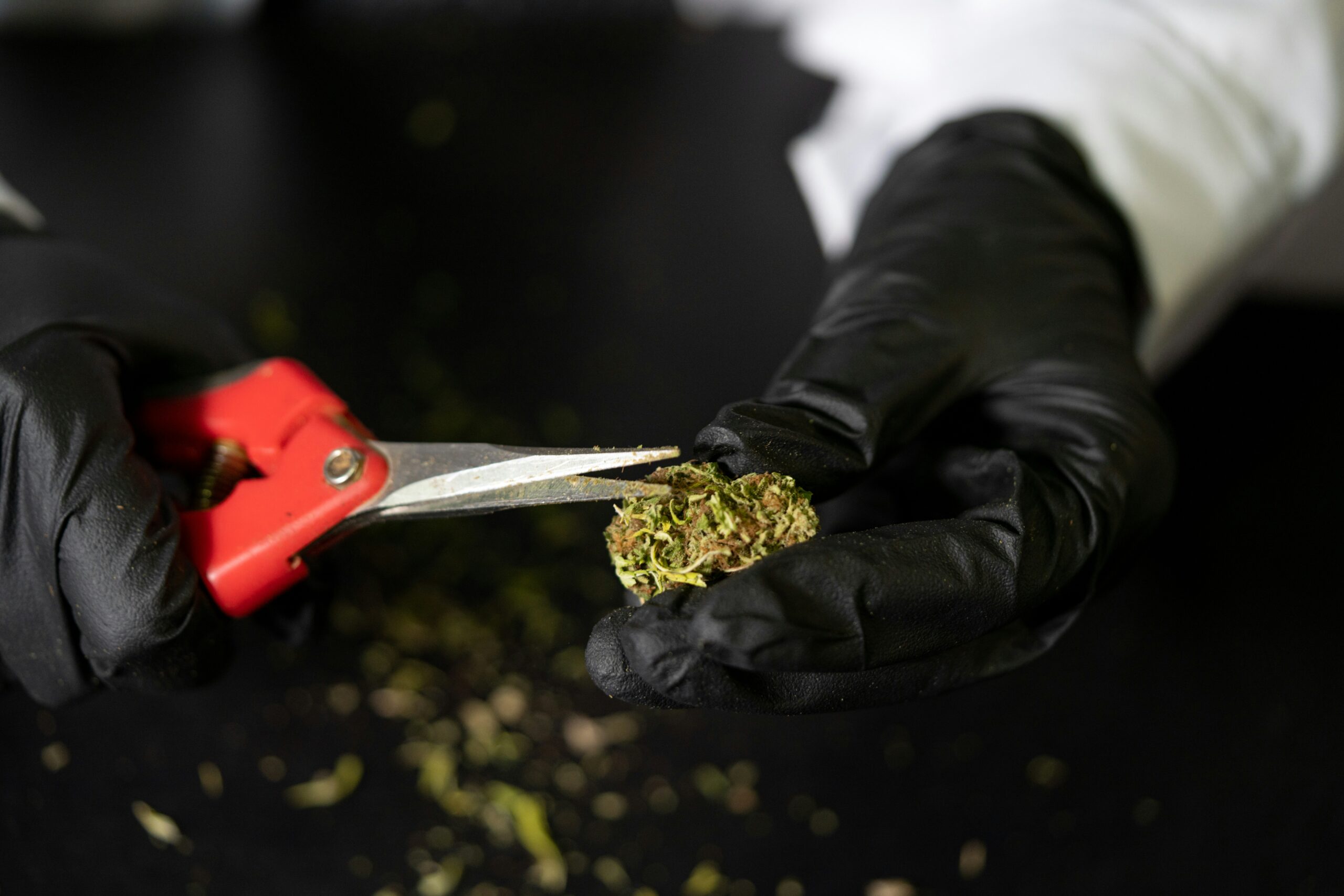 Exploring the Best Techniques for Making Cannabis Scissor Hash