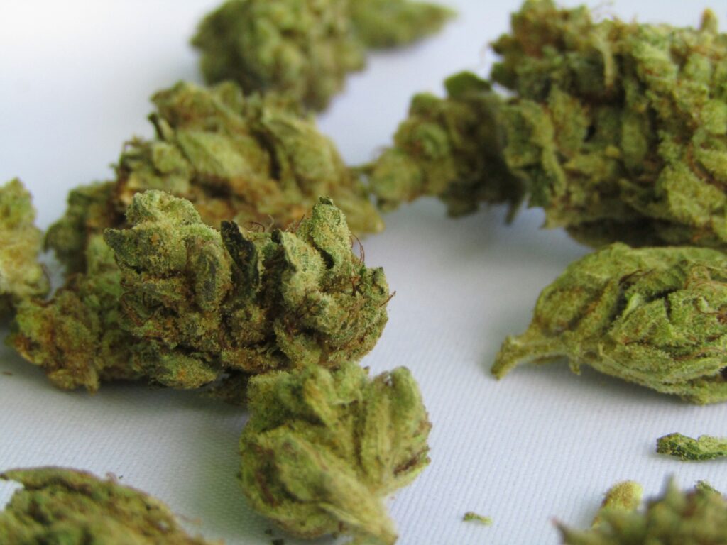 The Ultimate Guide to Cannabis Low-Stress Training (LST) for Bigger Buds