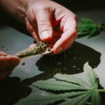 Understanding Cannabis Biphasic Effects