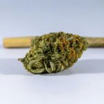 The Benefits and Uses of Minor Cannabinoids in Health and Wellness