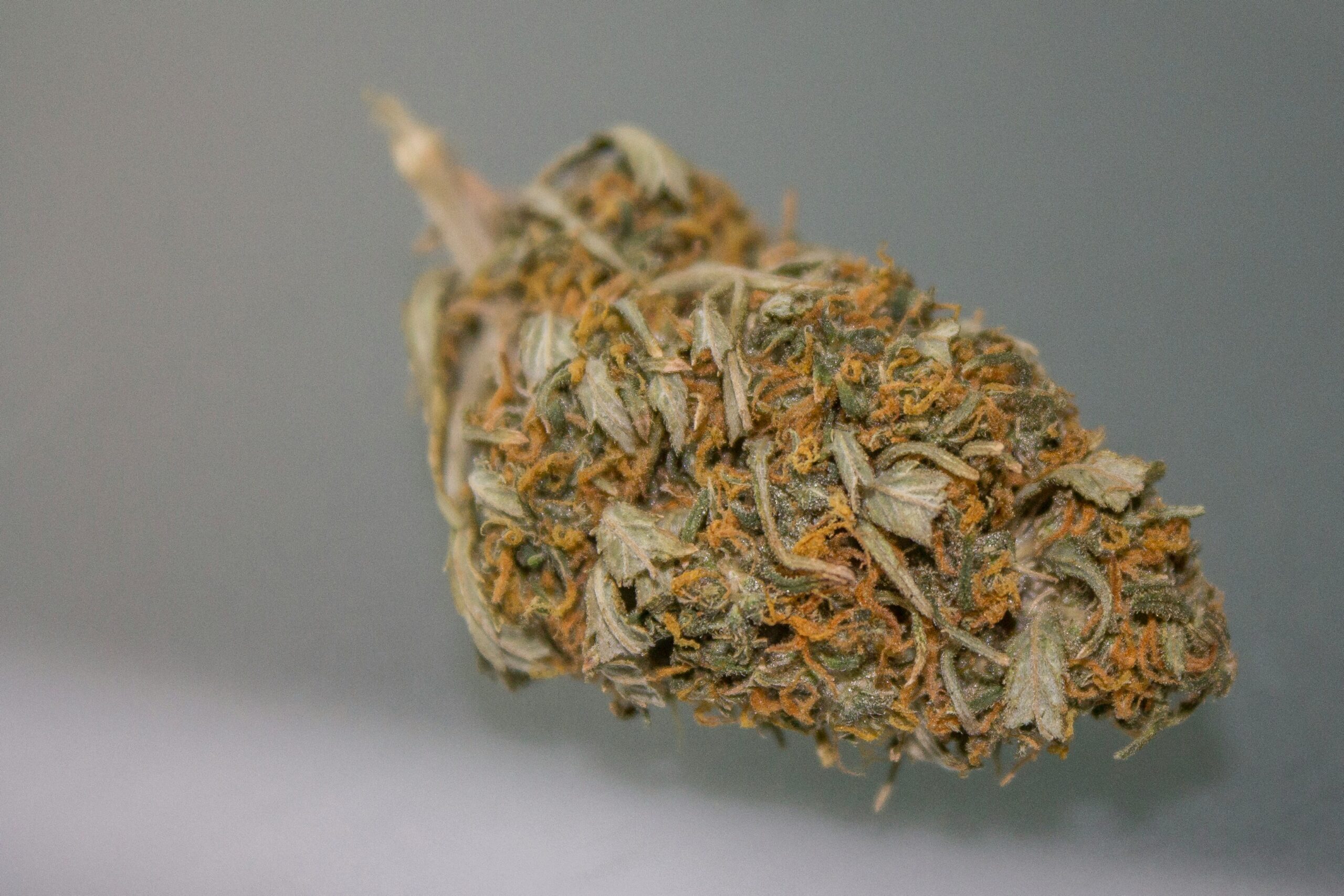 What Is Ganja and Why Is It Popular in Cannabis Culture?