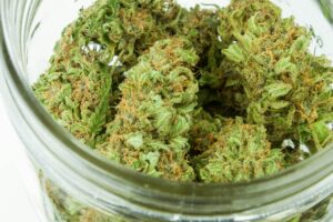 Understanding Cannabis Beta Caryophyllene: Benefits and Uses Explained