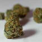 Does Delta-9 THC Have Any Health Benefits?