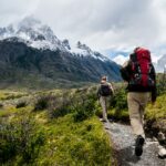 How to Incorporate CBD into Your Daily Routine
