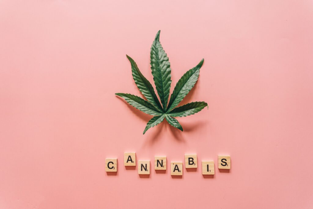 What Is THC? Understanding Delta-9 THC, Cannabis, and How It Compares to CBD