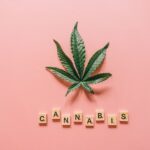 What Is THC? Understanding Delta-9 THC, Cannabis, and How It Compares to CBD