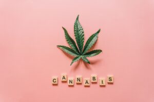 What Is THC? Understanding Delta-9 THC, Cannabis, and How It Compares to CBD