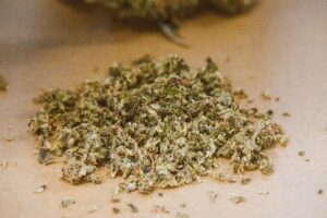 Shake: What It Is, How to Use It, and Why It’s Worth Considering