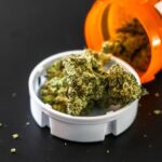 How to Talk To Friends and Family About Medical Cannabis