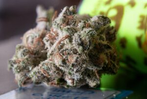 A Quick Overview: CBD vs CBG vs CBC vs CBN vs THC: Understanding Key Cannabinoid Differences