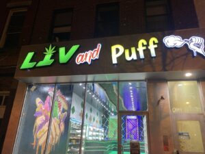 Liv and puff — Brooklyn, NY