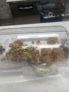STAR BUDZ CANNA CAFE & D8 THC & CBD DISPENSARY — Lansing, IL