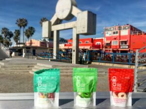 Venice Circle — Los Angeles, CA