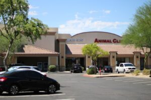 The Habit Smoke Shop — Mesa, AZ