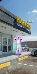 Trulieve Mesa Dispensary North — Mesa, AZ