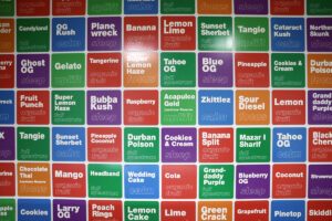 xtra laboratories — Tempe, AZ