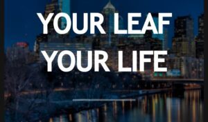 Your Leaf Your Life — Philadelphia, PA