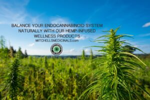 Mitchell’s Medicinals Hemp CBD Products — Furlong, PA
