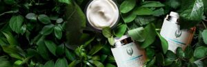 Swan Apothecary — Lakeside, CA