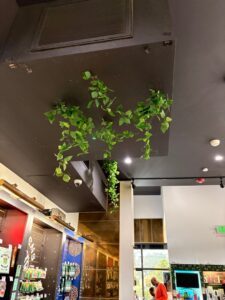Dr. GreenThumb’s La Mesa Cannabis Dispensary — La Mesa, CA