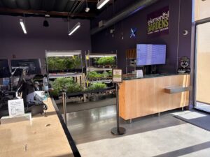 Elemental Wellness Cannabis Dispensary San Jose — San Jose, CA