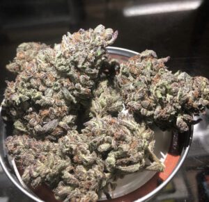 Hemporium San Jose — San Jose, CA
