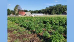 Holistic Harvest Farms — Brooklyn Heights, OH