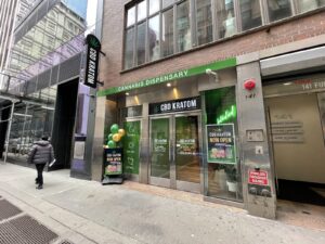 CBD Kratom FiDi — New York, NY