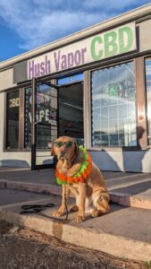 Hush Vapor — Denver, CO