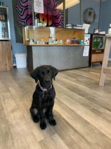 Canna World Market — Lakewood, CO
