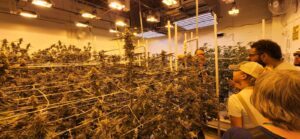 Karma Dispensary — Denver, CO