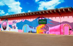 Silver Stem Fine Cannabis Northfield Commerce City Area Dispensary — Commerce City, CO