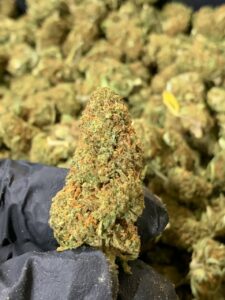 Bulk CBD Distributors — Denver, CO